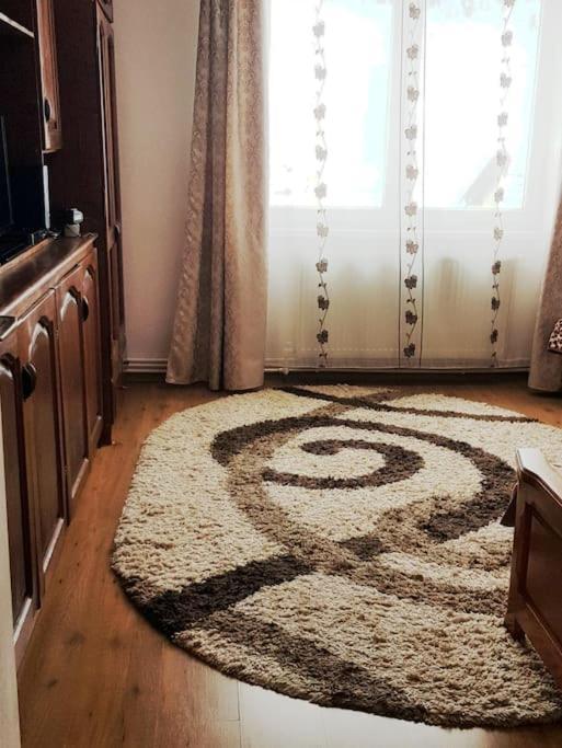 Garsoniera Emilia Apartment คัมพูลุง โมลโดเวเนสค์ ภายนอก รูปภาพ