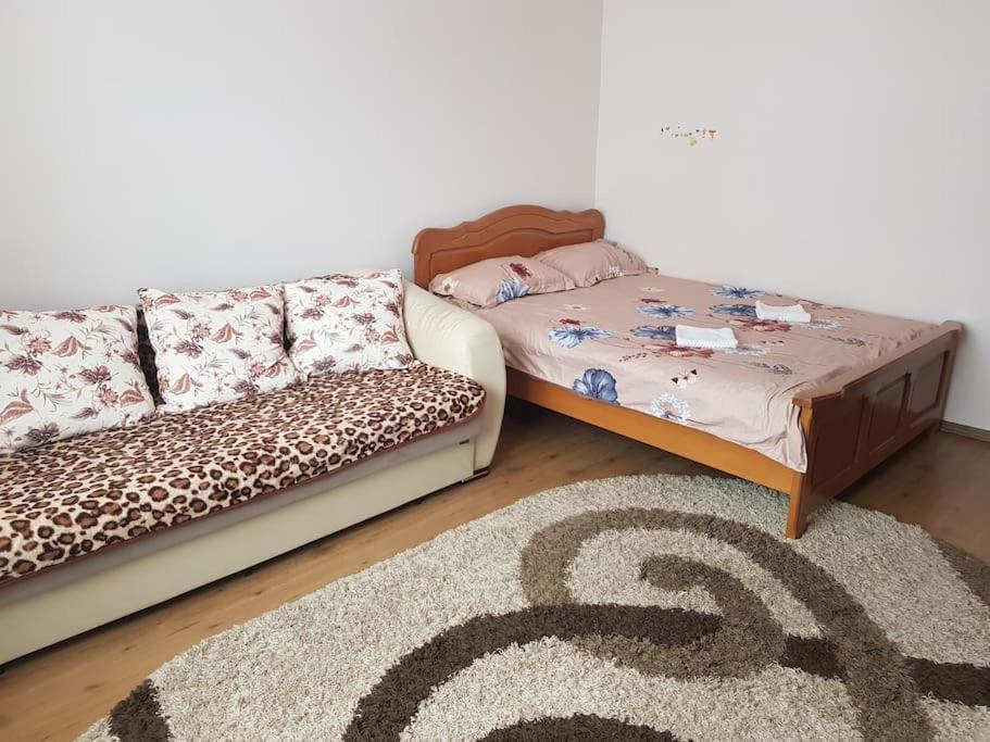Garsoniera Emilia Apartment คัมพูลุง โมลโดเวเนสค์ ภายนอก รูปภาพ