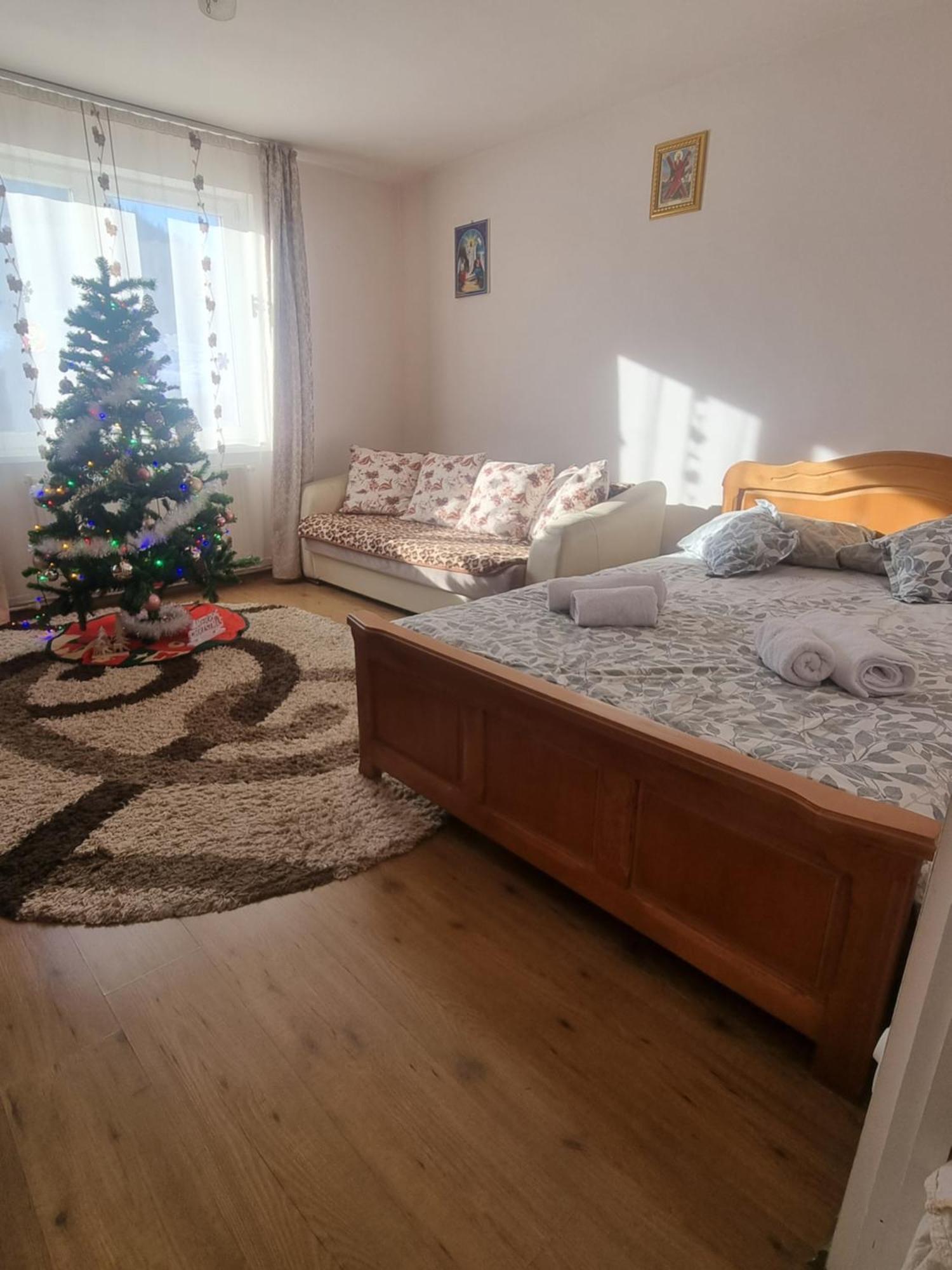 Garsoniera Emilia Apartment คัมพูลุง โมลโดเวเนสค์ ภายนอก รูปภาพ