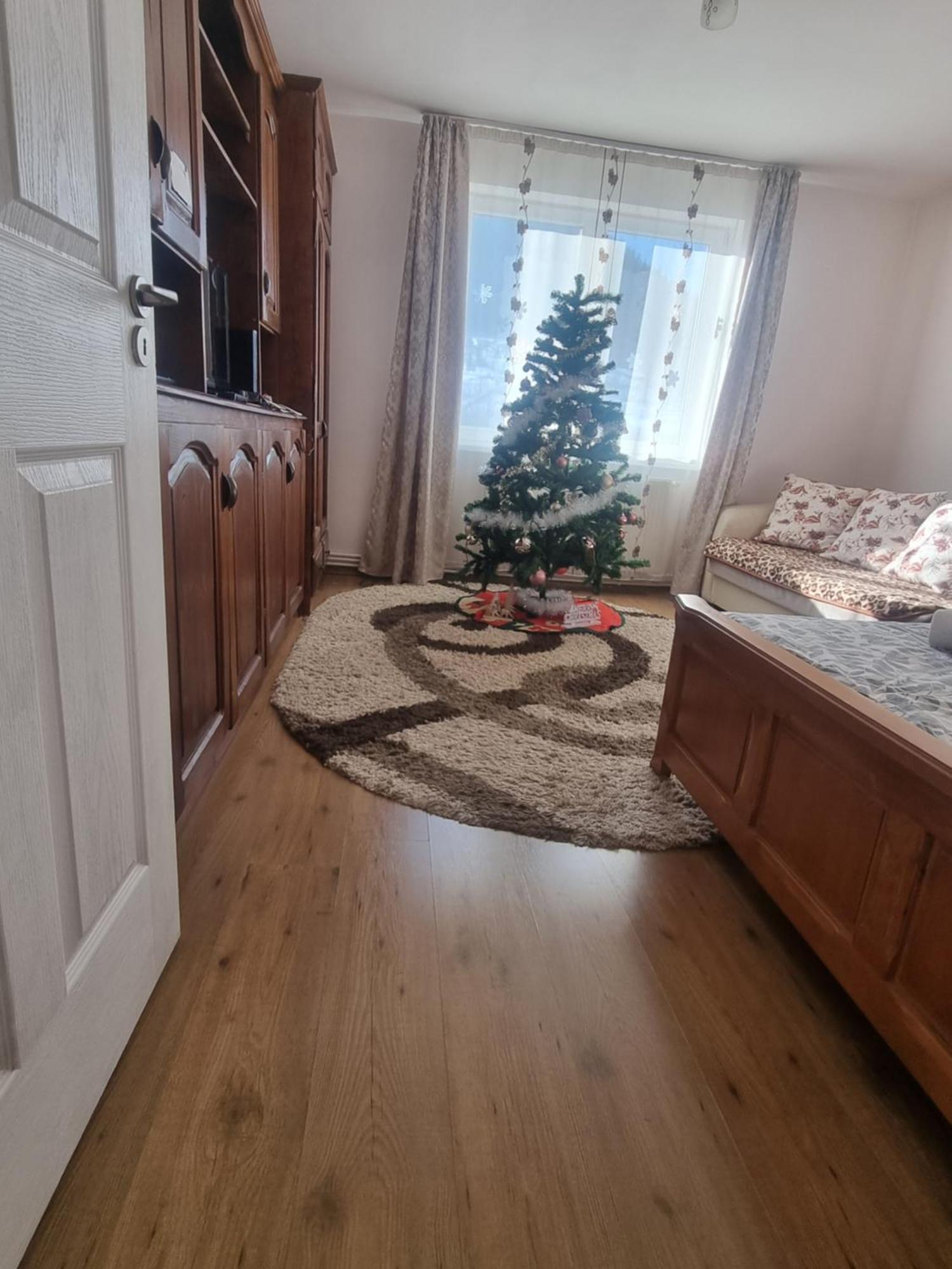 Garsoniera Emilia Apartment คัมพูลุง โมลโดเวเนสค์ ภายนอก รูปภาพ